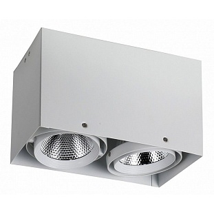 Спот FAVOURITE FLASHLED 1986-2U